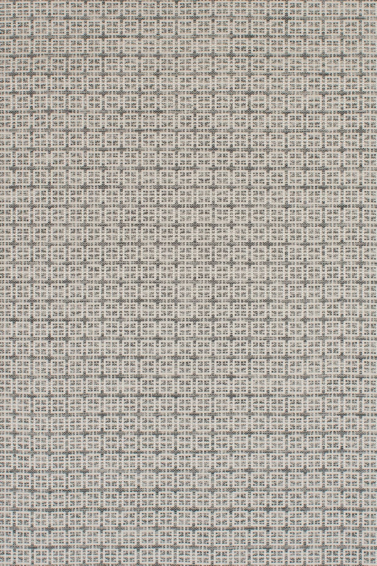 T01005778_ALT2