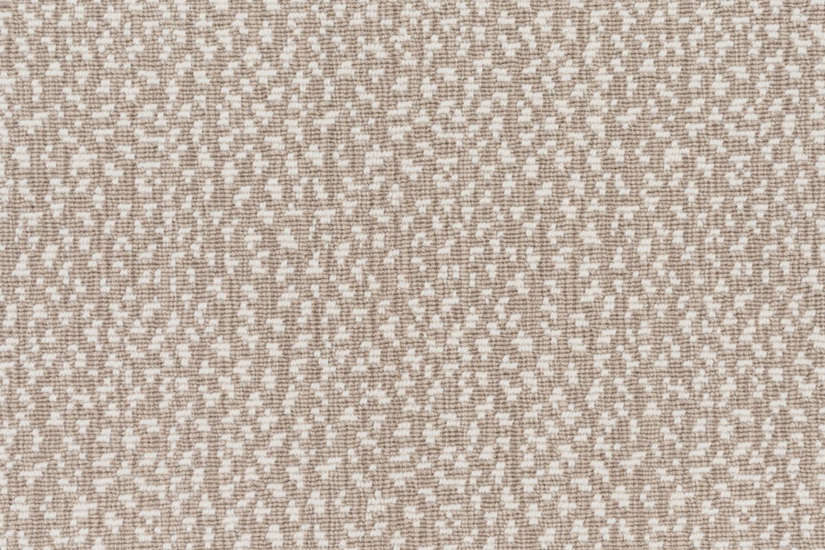 T01008955_CL